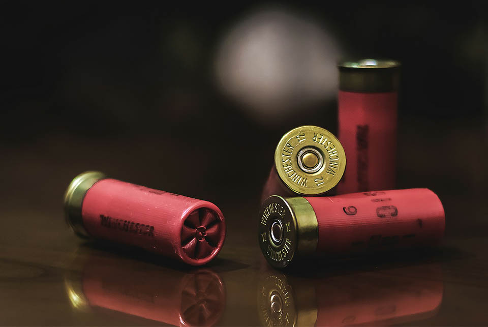 bullets
